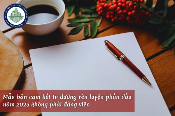 Mẫu bản cam kết tu dưỡng rèn luyện phấn đấu năm 2025 không phải đảng viên 