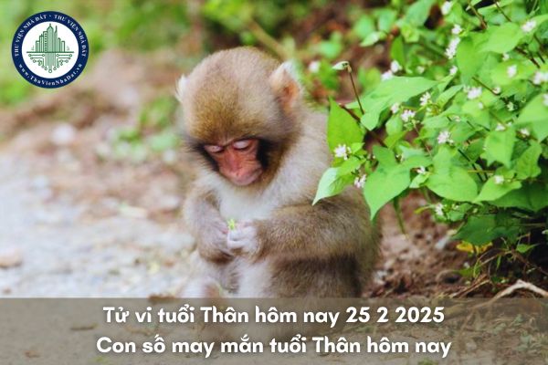 Tử vi tuổi Thân hôm nay 25 2 2025? Con số may mắn tuổi Thân hôm nay