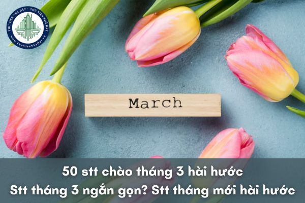 50 stt chào tháng 3 hài hước? Stt tháng 3 ngắn gọn? Stt tháng mới hài hước