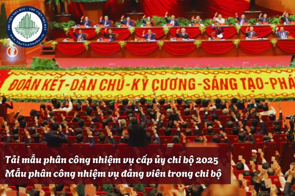 Tải mẫu phân công nhiệm vụ cấp ủy chi bộ 2025? Mẫu phân công nhiệm vụ đảng viên trong chi bộ