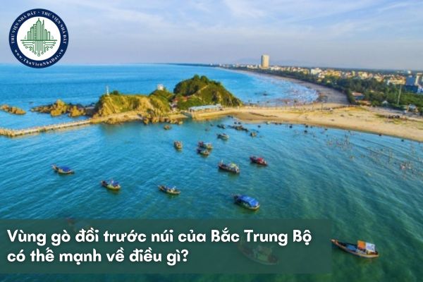 Vùng gò đồi trước núi của Bắc Trung Bộ có thế mạnh về điều gì?