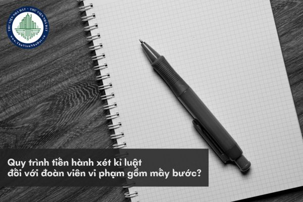 Quy trình tiến hành xét kỉ luật đối với đoàn viên vi phạm gồm mấy bước?