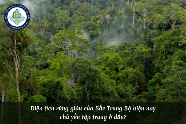 Diện tích rừng giàu của Bắc Trung Bộ hiện nay chủ yếu tập trung ở đâu?
