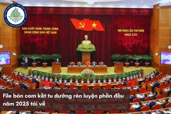 File bản cam kết tu dưỡng rèn luyện phấn đấu năm 2025 tải về