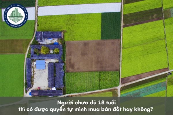 Người chưa đủ 18 tuổi có được quyền tự mua bán đất không? 