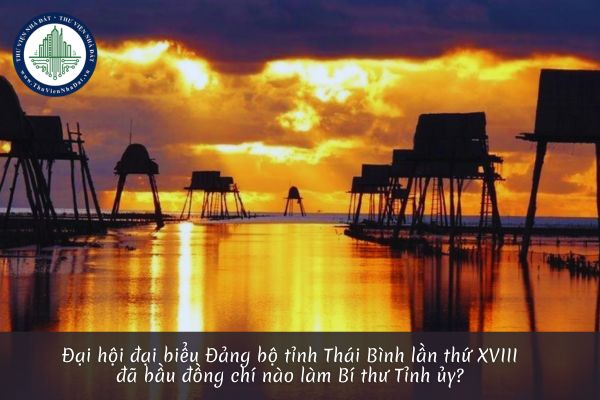 Đại hội đại biểu Đảng bộ tỉnh Thái Bình lần thứ XVIII đã bầu đồng chí nào làm Bí thư Tỉnh ủy?