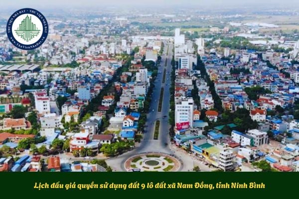 Lịch đấu giá quyền sử dụng đất 9 lô đất xã Nam Đồng, tỉnh Ninh Bình