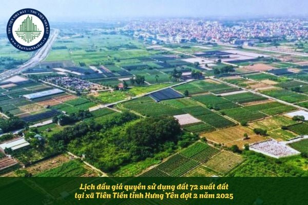 Lịch đấu giá quyền sử dụng đất 72 suất đất tại xã Tiên Tiến tỉnh Hưng Yên