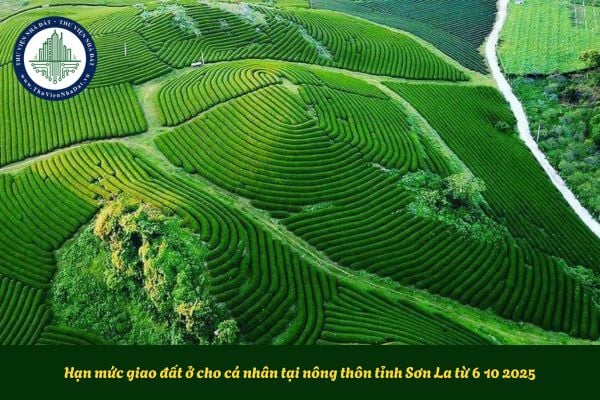Hạn mức giao đất ở cho cá nhân tại nông thôn tỉnh Sơn La từ 6 10 2025