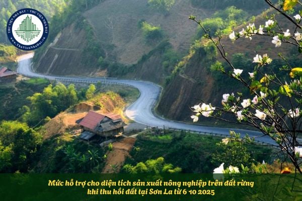 Mức hỗ trợ cho diện tích sản xuất nông nghiệp trên đất rừng khi thu hồi đất tại Sơn La từ 6 10 2025