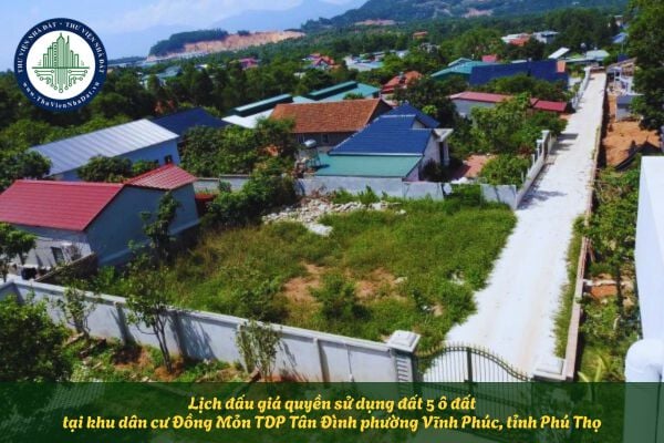 Lịch đấu giá quyền sử dụng đất 5 ô đất tại khu dân cư Đồng Mỏn TDP Tân Đình phường Vĩnh Phúc, tỉnh Phú Thọ