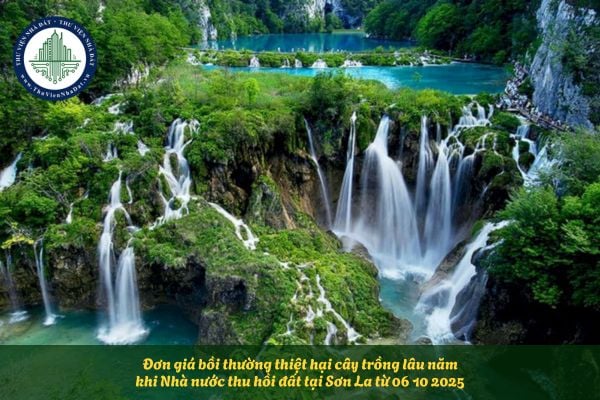 Đơn giá bồi thường thiệt hại cây trồng lâu năm khi Nhà nước thu hồi đất tại Sơn La từ 06 10 2025