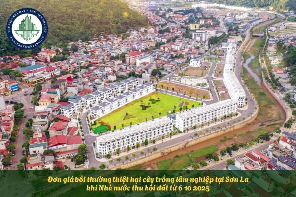 Đơn giá bồi thường thiệt hại cây trồng lâm nghiệp tại Sơn La khi Nhà nước thu hồi đất từ 6 10 2025