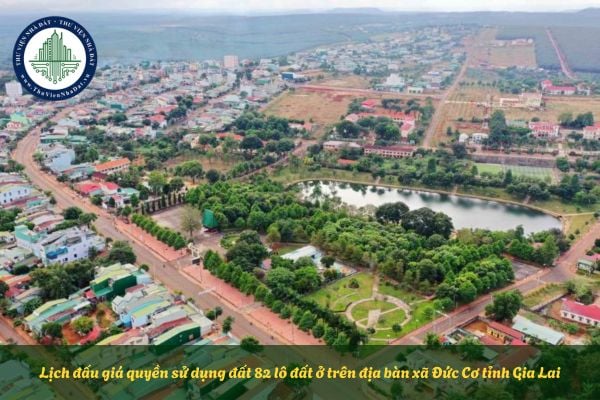 Lịch đấu giá quyền sử dụng đất 82 lô đất ở trên địa bàn xã Đức Cơ tỉnh Gia Lai