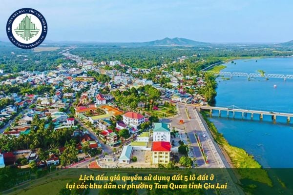 Lịch đấu giá quyền sử dụng đất 5 lô đất ở tại các khu dân cư phường Tam Quan tỉnh Gia Lai