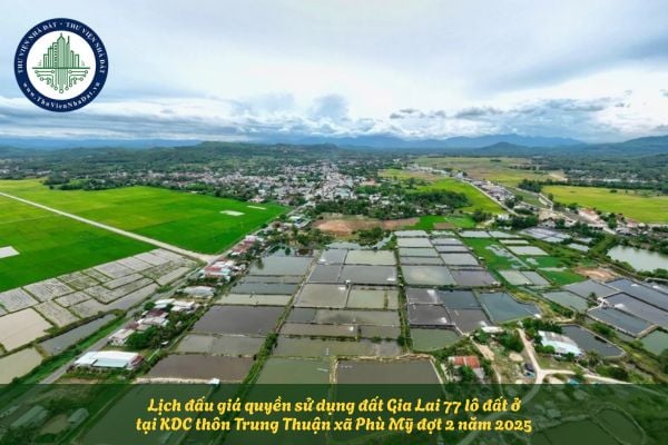 Lịch đấu giá quyền sử dụng đất Gia Lai 77 lô đất ở tại KDC thôn Trung Thuận xã Phù Mỹ đợt 2 năm 2025