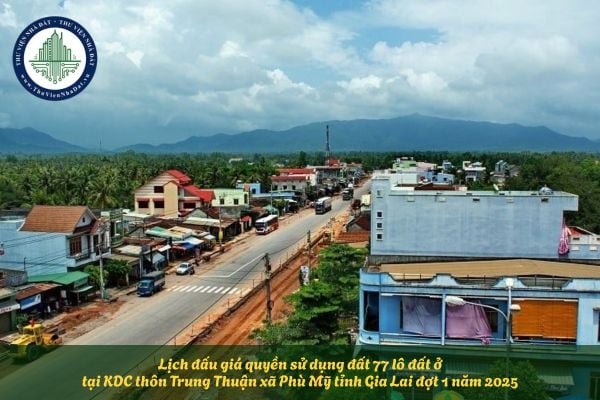 Lịch đấu giá quyền sử dụng đất 77 lô đất ở tại KDC thôn Trung Thuận xã Phù Mỹ tỉnh Gia Lai đợt 1 năm 2025