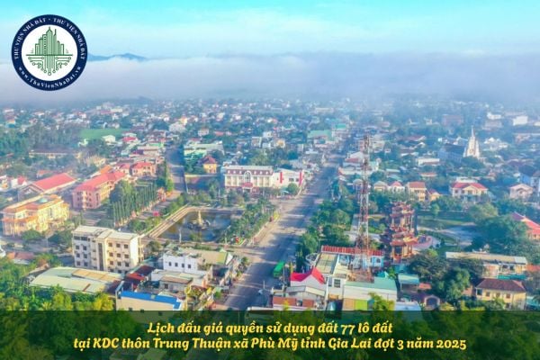 Lịch đấu giá quyền sử dụng đất 77 lô đất tại KDC thôn Trung Thuận xã Phù Mỹ tỉnh Gia Lai đợt 3 năm 2025