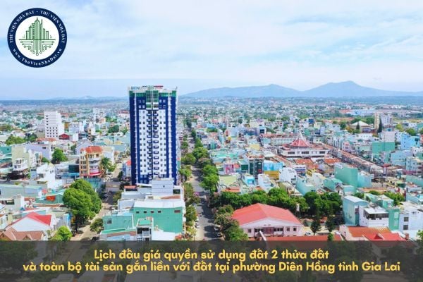Lịch đấu giá quyền sử dụng đất 2 thửa đất và toàn bộ tài sản gắn liền với đất tại phường Diên Hồng tỉnh Gia Lai