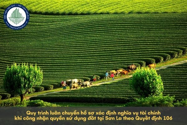 Quy trình luân chuyển hồ sơ xác định nghĩa vụ tài chính khi công nhận quyền sử dụng đất tại Sơn La theo Quyết định 106