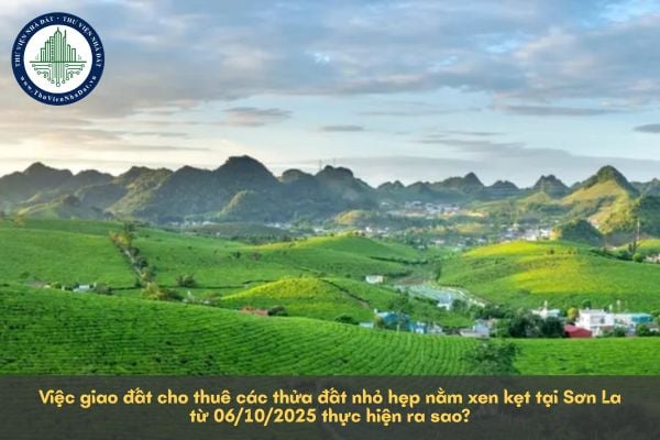 Việc giao đất cho thuê các thửa đất nhỏ hẹp nằm xen kẹt tại Sơn La từ 06/10/2025 thực hiện ra sao?