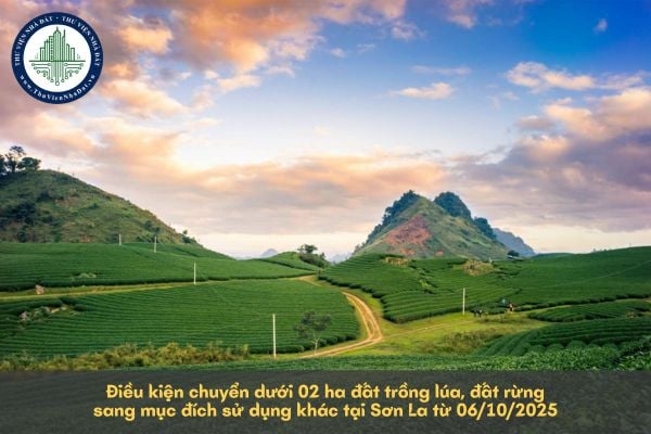 Điều kiện chuyển dưới 02 ha đất trồng lúa, đất rừng sang mục đích sử dụng khác tại Sơn La từ 06/10/2025