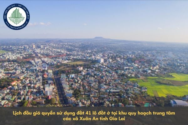 Lịch đấu giá quyền sử dụng đất 41 lô đất ở tại khu quy hoạch trung tâm các xã Xuân An tỉnh Gia Lai