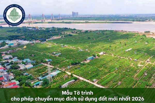 thuviennhadat.vn