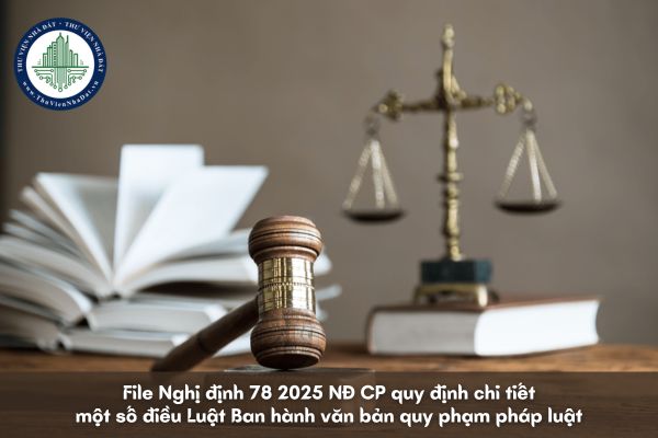File Nghị định 78 2025 NĐ CP quy định chi tiết một số điều Luật Ban hành văn bản quy phạm pháp luật