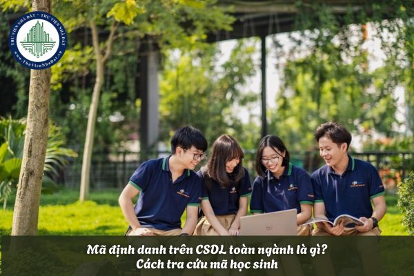 Mã định danh trên CSDL toàn ngành là gì?
