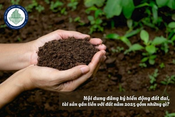 Nội dung đăng ký biến động đất đai, tài sản gắn liền với đất năm 2025 gồm những gì?