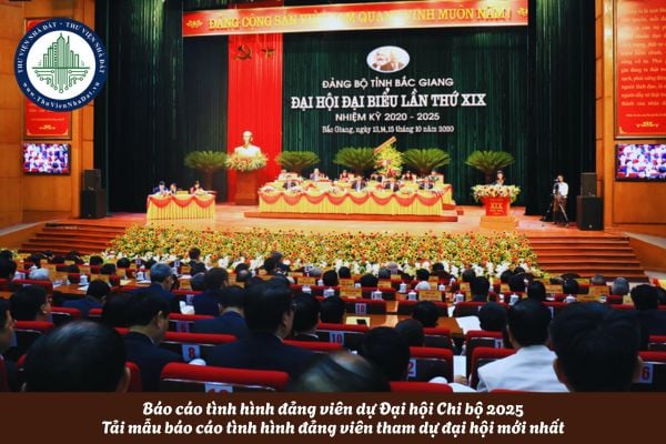 Báo cáo tình hình đảng viên dự Đại hội Chi bộ 2025? Tải mẫu báo cáo tình hình đảng viên tham dự đại hội mới nhất