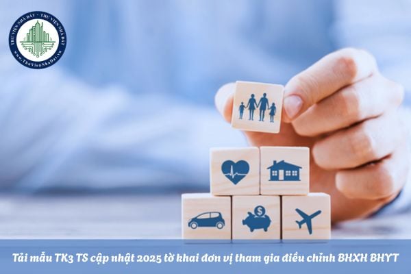 Tải mẫu TK3 ts cập nhật 2025 tờ khai đơn vị tham gia, điều chỉnh BHXH, BHYT