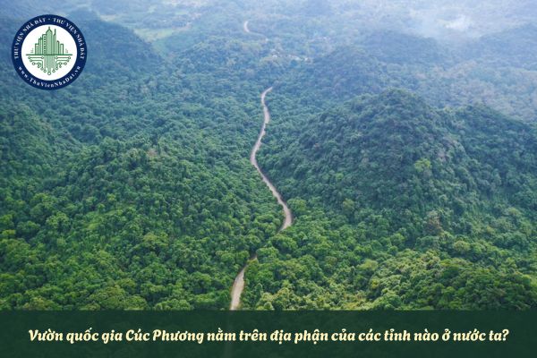 thuviennhadat.vn