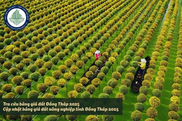 Tra cứu bảng giá đất Đồng Tháp 2025? Cập nhật bảng giá đất nông nghiệp tỉnh Đồng Tháp 2025