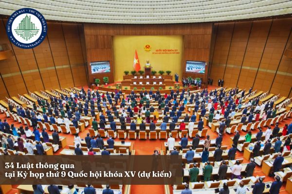 34 Luật thông qua tại Kỳ họp thứ 9 Quốc hội khóa XV (dự kiến)