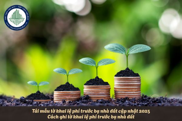 Tải mẫu tờ khai lệ phí trước bạ nhà đất cập nhật 2025? Cách ghi tờ khai lệ phí trước bạ nhà đất