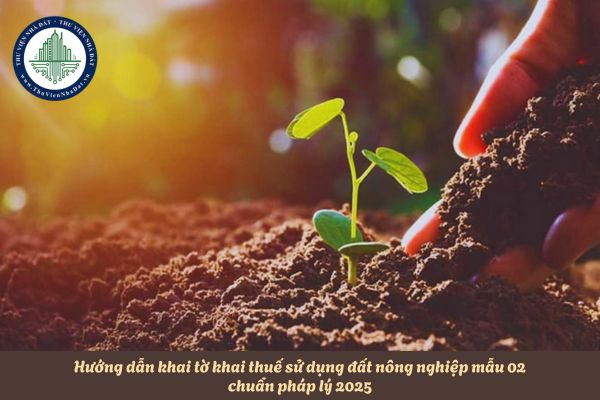 Hướng dẫn khai tờ khai thuế sử dụng đất nông nghiệp mẫu 02 chuẩn pháp lý 2025