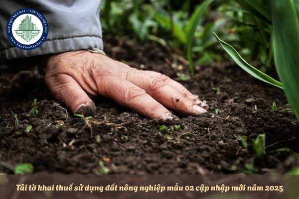 Tải tờ khai thuế sử dụng đất nông nghiệp mẫu 02 cập nhập mới năm 2025