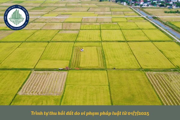 Trình tự thu hồi đất do vi phạm pháp luật từ 01/7/2025