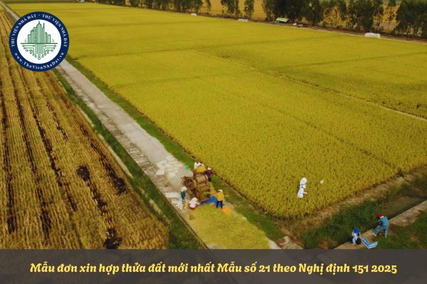 Mẫu đơn xin hợp thửa đất mới nhất Mẫu số 21 theo Nghị định 151 2025