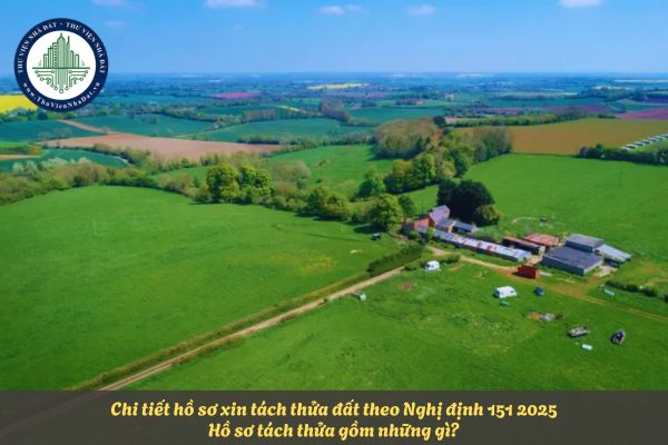 Chi tiết hồ sơ xin tách thửa đất theo Nghị định 151 2025? Hồ sơ tách thửa gồm những gì?