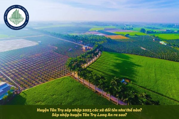 Huyện Tân Trụ sáp nhập 2025 các xã đổi tên như thế nào? Sáp nhập huyện Tân Trụ Long An ra sao?