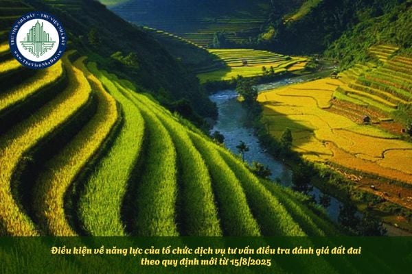 Điều kiện về năng lực của tổ chức dịch vụ tư vấn điều tra đánh giá đất đai theo quy định mới từ 15/8/2025