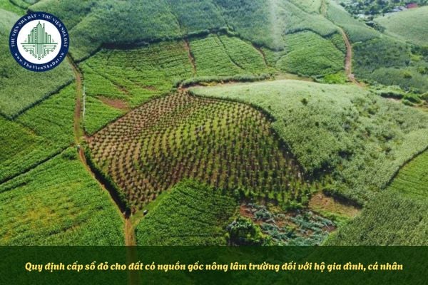 Quy định cấp sổ đỏ cho đất có nguồn gốc nông lâm trường đối với hộ gia đình, cá nhân