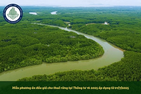 Mẫu phương án đấu giá cho thuê rừng tại Thông tư 16 2025 áp dụng từ 01/7/2025