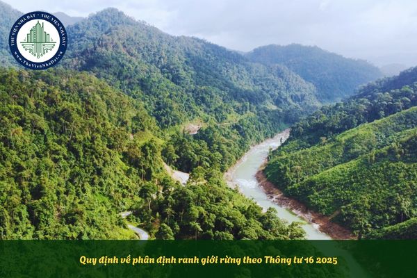 Quy định về phân định ranh giới rừng theo Thông tư 16 2025