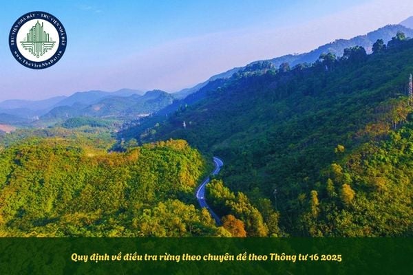 Quy định về điều tra rừng theo chuyên đề theo Thông tư 16 2025
