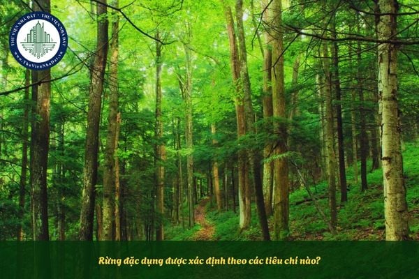 Rừng đặc dụng được xác định theo các tiêu chí nào?