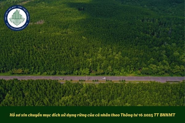 Hồ sơ xin chuyển mục đích sử dụng rừng của cá nhân theo Thông tư 16 2025 TT BNNMT